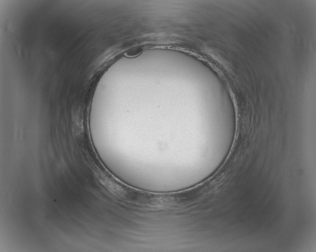 X0000083001451200702160037