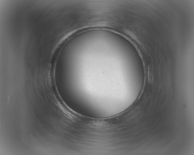 X0000083001452200702160037