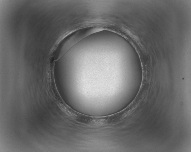 X0000083001453200702160037