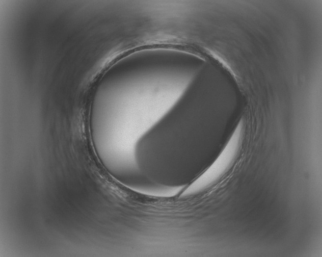 X0000083001455200702160037