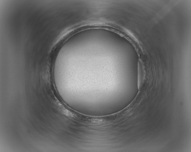 X0000083001456200702160037