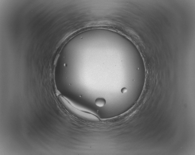 X0000083001457200702160037