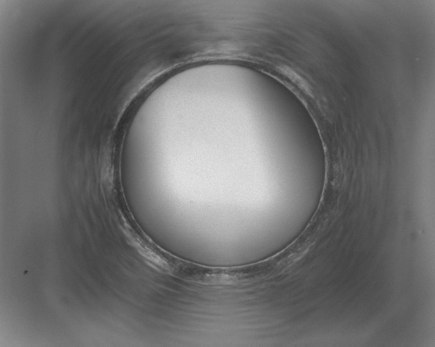 X0000083001458200702160037