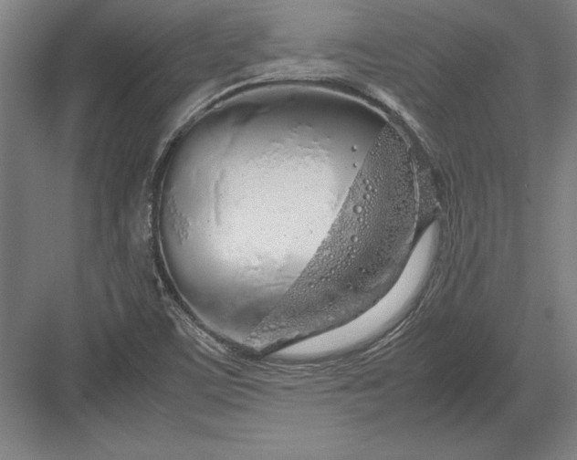 X0000083001459200702160037