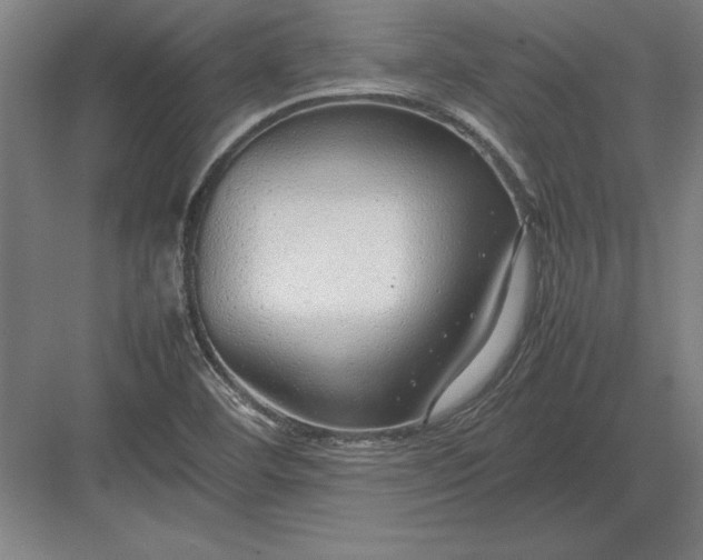 X0000083001460200702160037