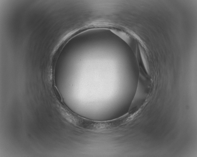 X0000083001461200702160037