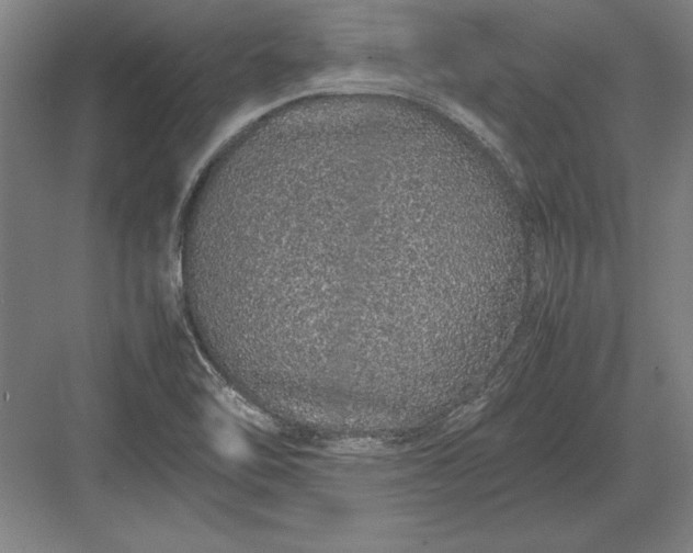 X0000083001462200702160037