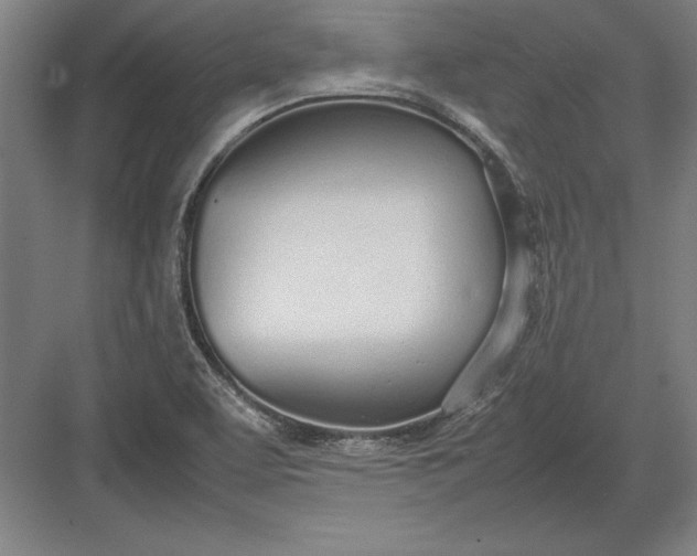 X0000083001463200702160037