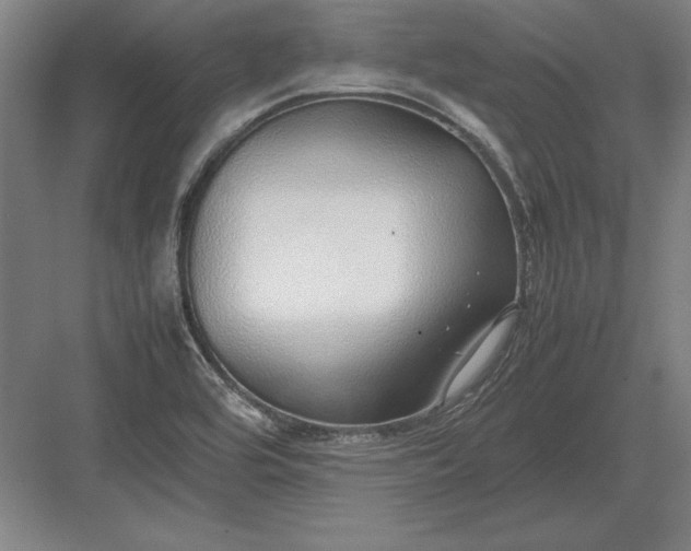 X0000083001464200702160037