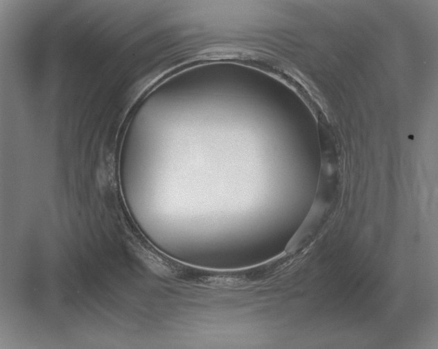 X0000083001465200702160037