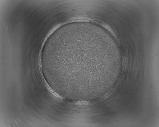 X0000083001466200702160037