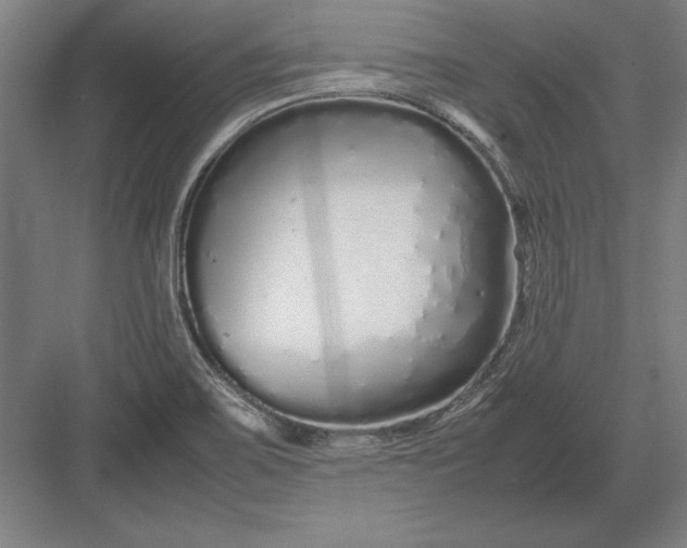 X0000083001467200702160037