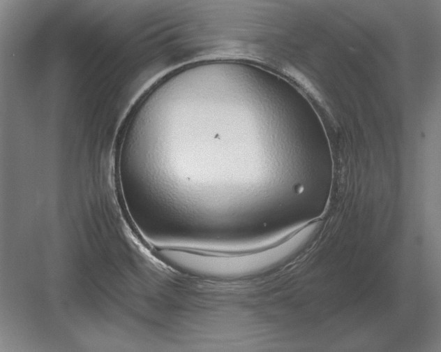 X0000083001468200702160037