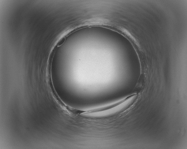 X0000083001469200702160037