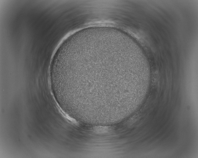 X0000083001470200702160037