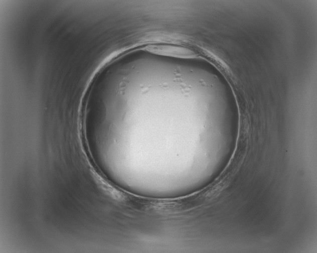 X0000083001471200702160037