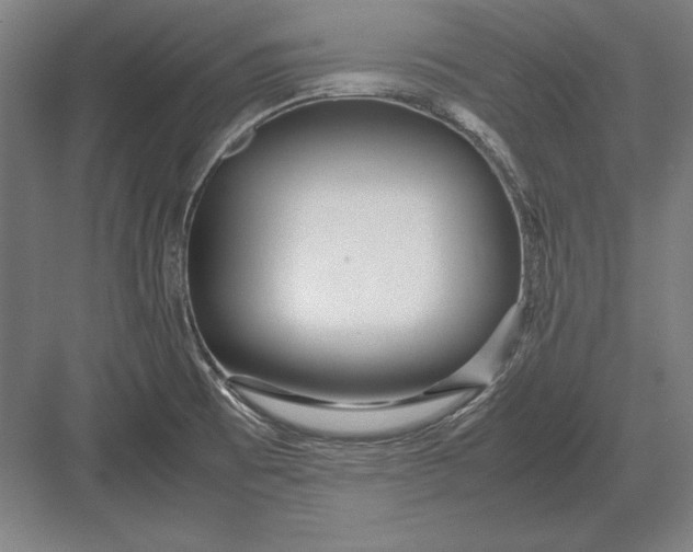 X0000083001473200702160037