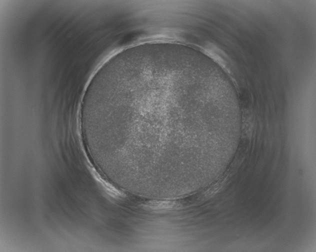 X0000083001474200702160037