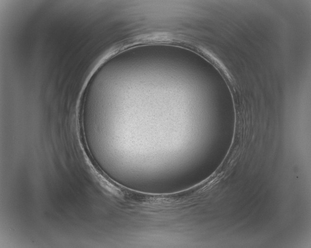 X0000083001475200702160037