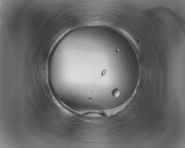 X0000083001476200702160036