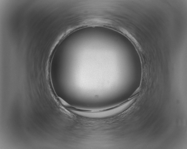 X0000083001477200702160036