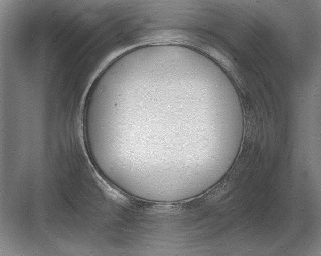 X0000083001478200702160036