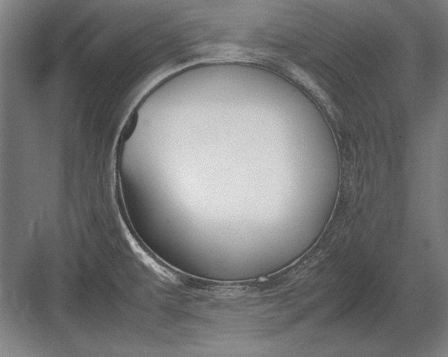 X0000083001479200702160036