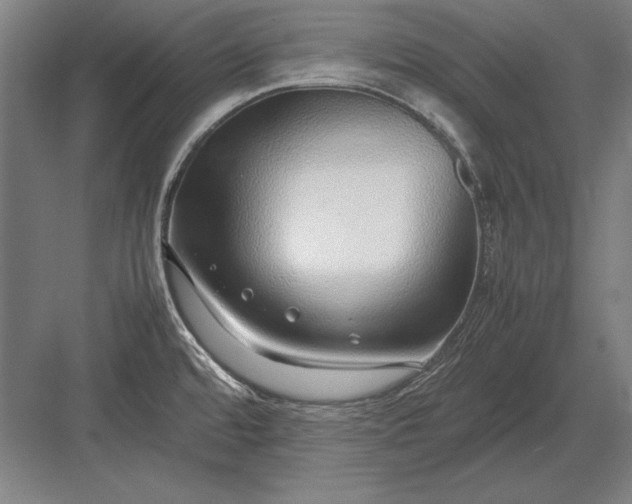 X0000083001480200702160036