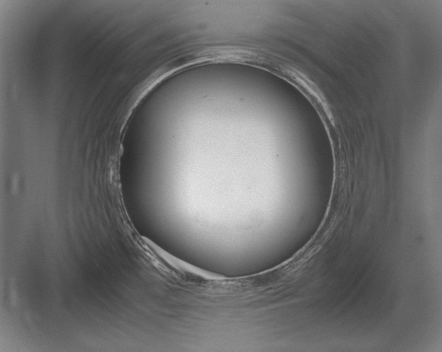 X0000083001481200702160036