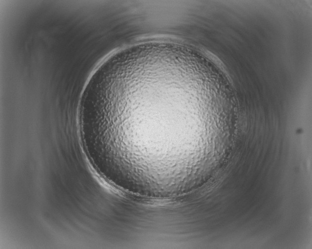 X0000083001482200702160036