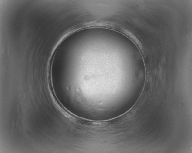 X0000083001483200702160036