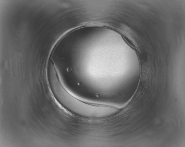 X0000083001484200702160036