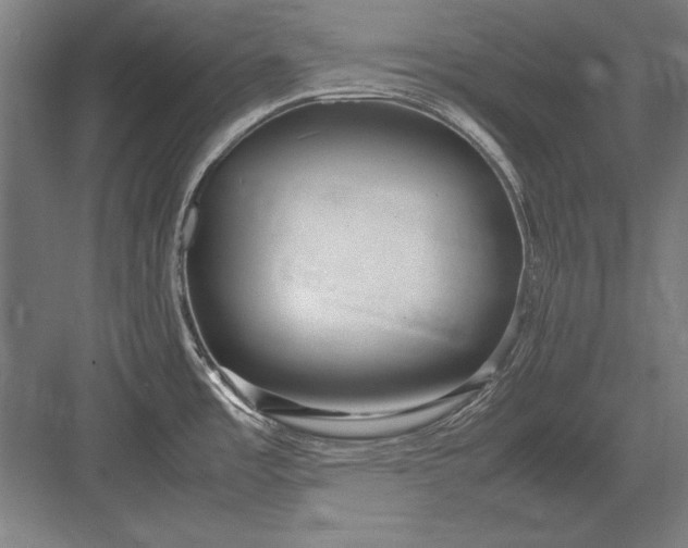 X0000083001485200702160036