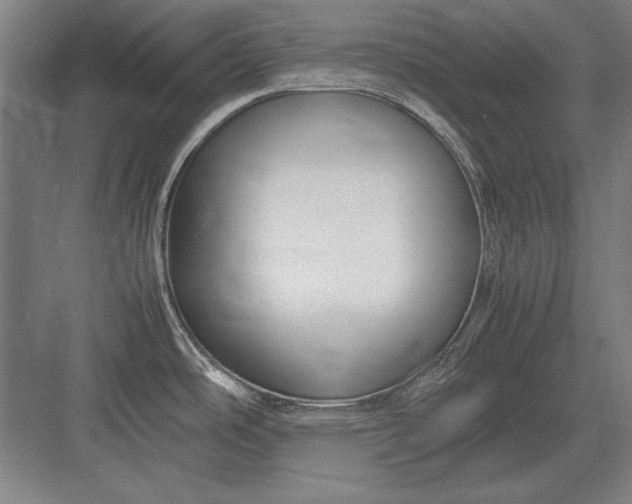 X0000083001486200702160036