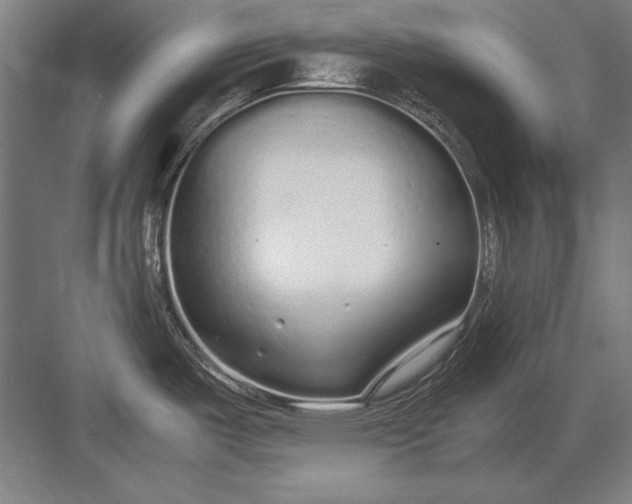 X0000083001487200702160036