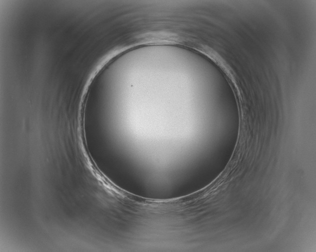 X0000083001488200702160036