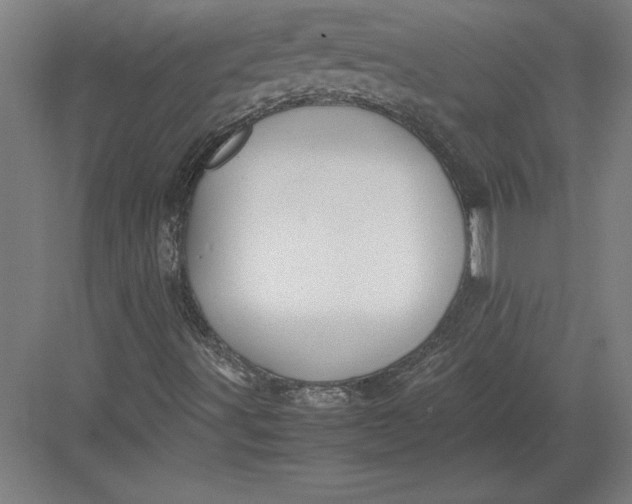 X0000083001491200702160036