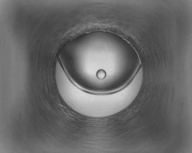 X0000083001492200702160036