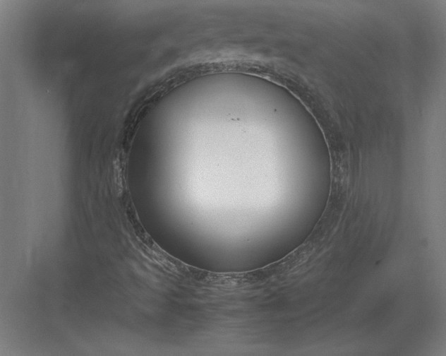 X0000083001493200702160036