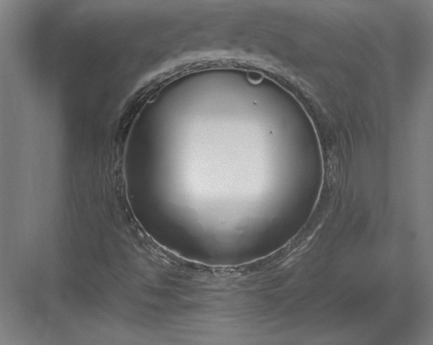 X0000083001494200702160036