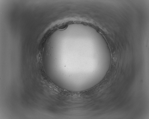 X0000083001495200702160036