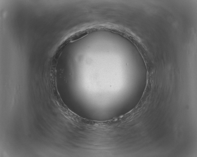 X0000083001496200702160036