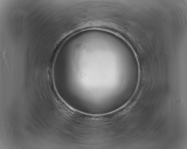 X0000083001497200702160036