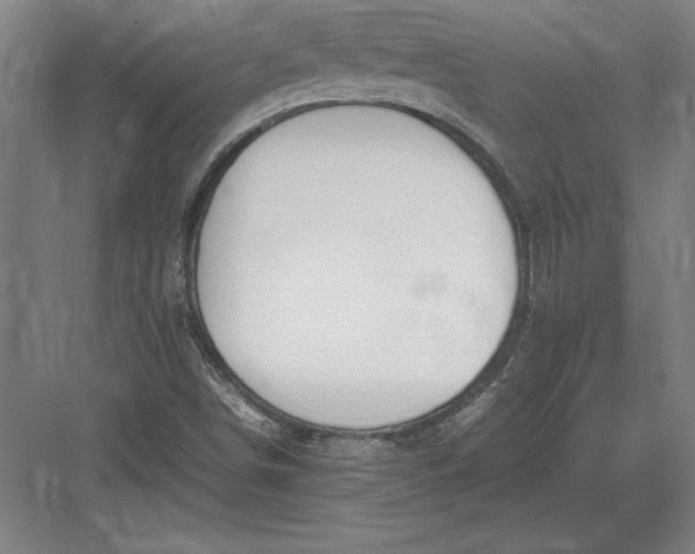 X0000083001498200702160036