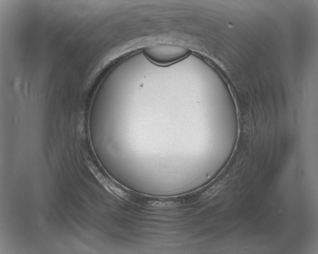 X0000083001499200702160036