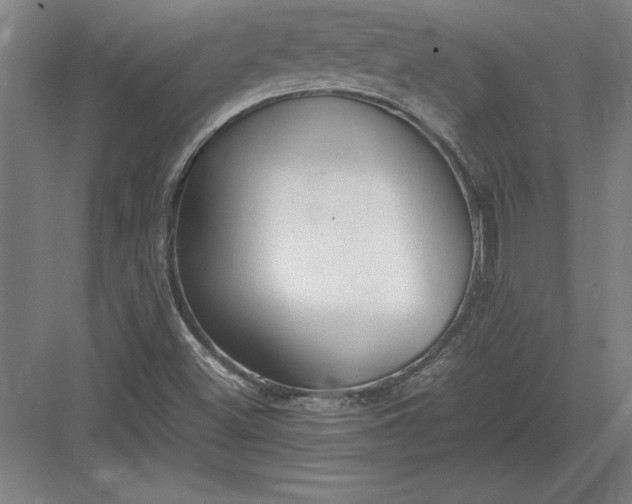 X0000083001500200702160036