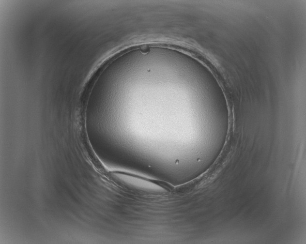 X0000083001501200702160036