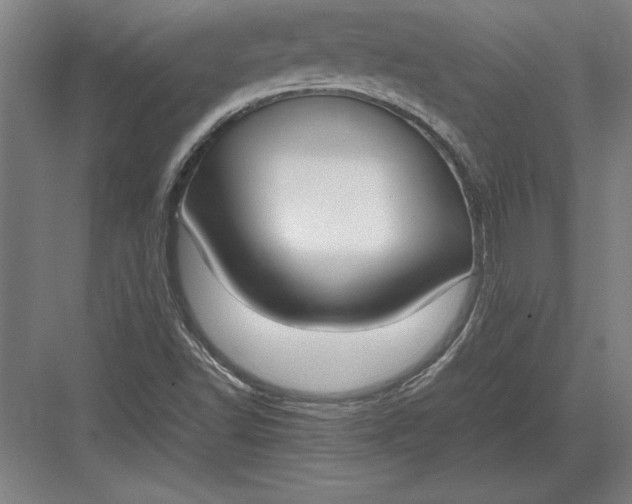 X0000083001502200702160036