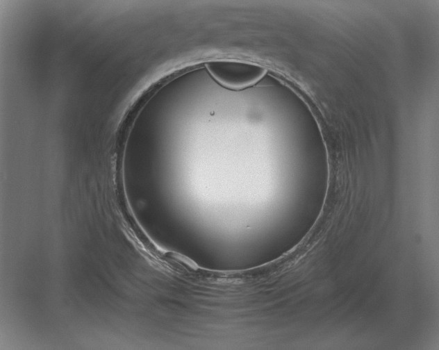 X0000083001503200702160036