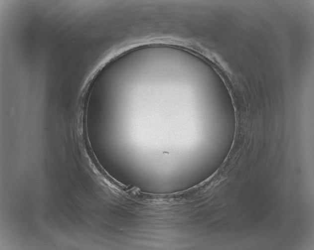 X0000083001504200702160036